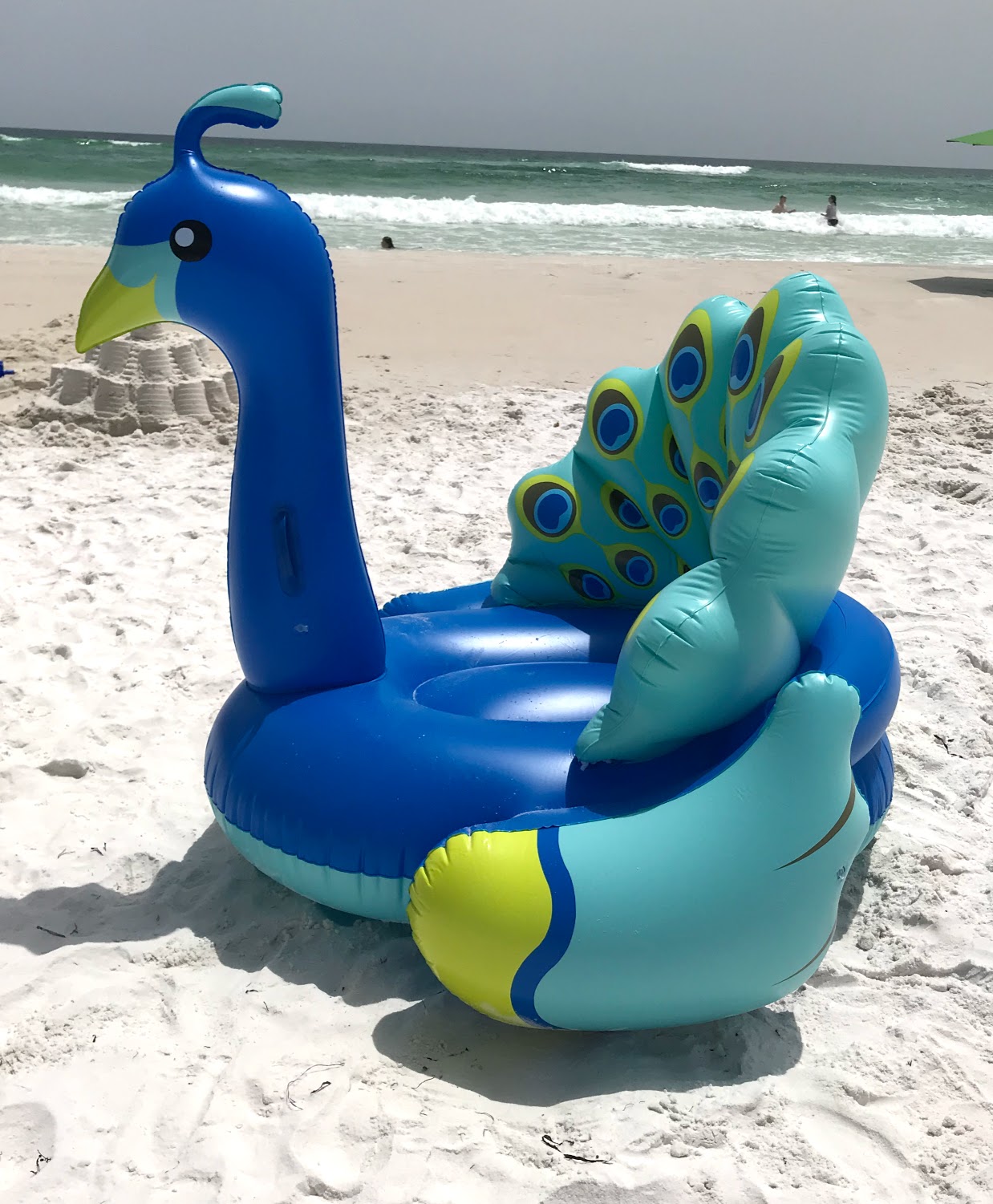 https://www.beachfunforeveryone.com/images/peacock-float-jpg.jpg