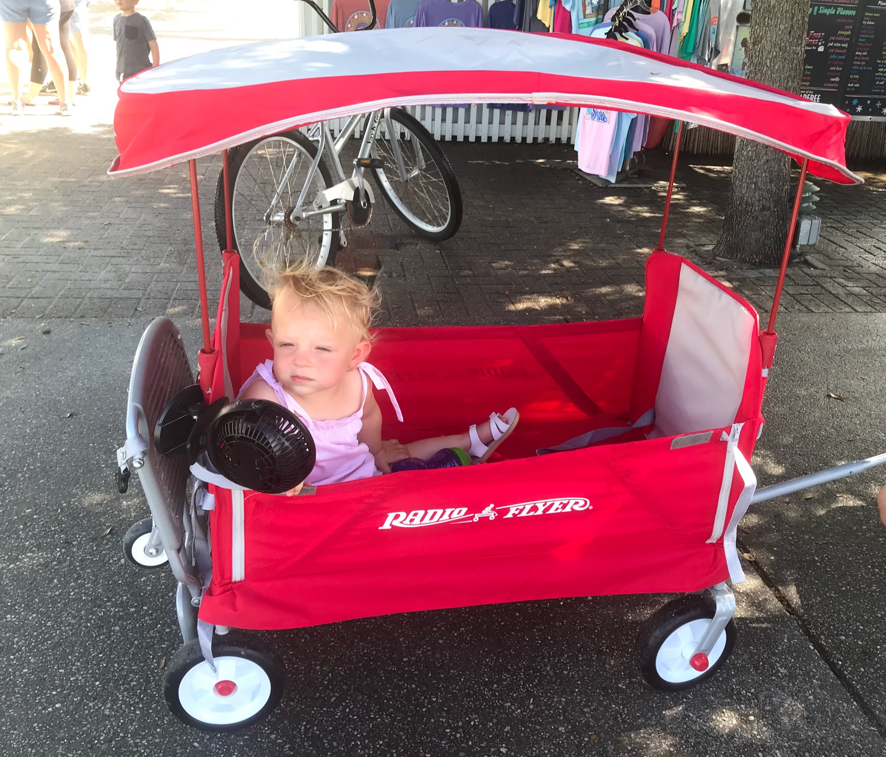 beach wagon for hauling kids and beach gear