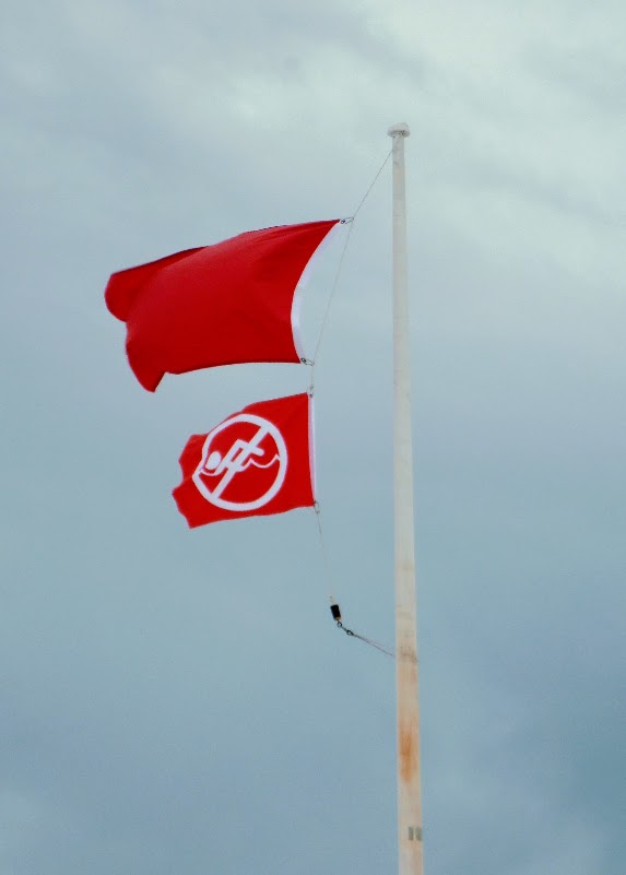 beach safety flags