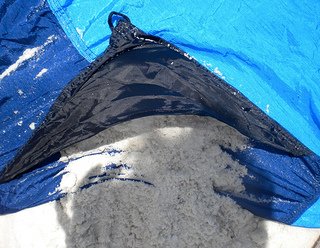 beach blankets