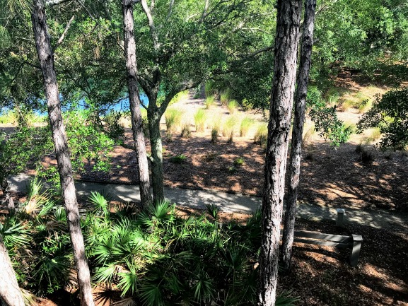 Watercolor Florida biking and hiking trails are often tree lined and in the shade